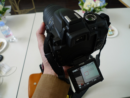 バリアングルと多彩なシーン／編集でファミリーに Nikon D5000モノフェローズイベント