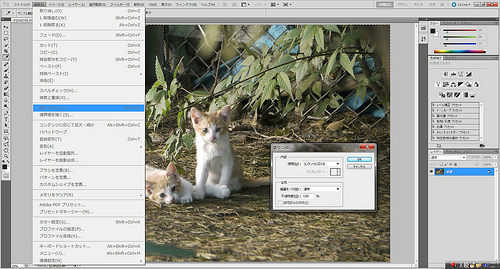 Adobe Photoshop CS5 本当に手品のように簡単に消えるｗ