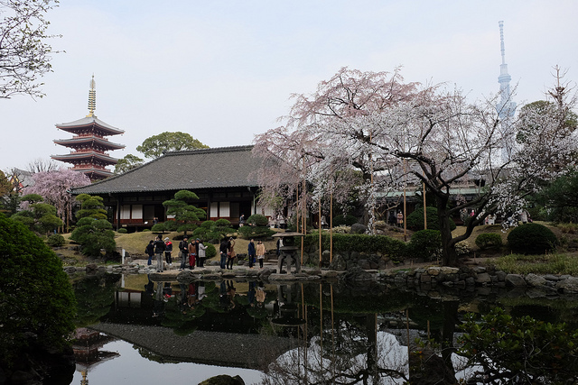 FUJIFILM X100S 浅草寺庭園と隅田公園の桜と東京スカイツリー