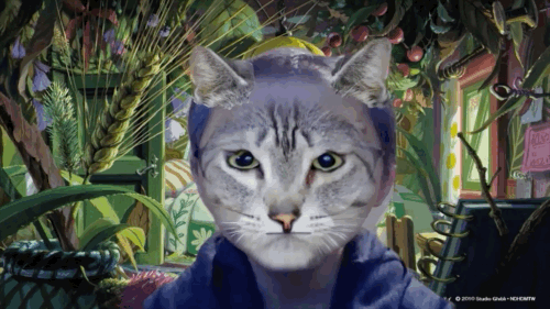 Snap Camera用オリジナルレンズ Kittyに猫耳を追加してみた Lens Studioの使い方その２ Digital Life Innovator