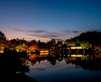 紅葉のライトアップと黄昏リフレクション 昭和記念公園 秋の夜散歩2020