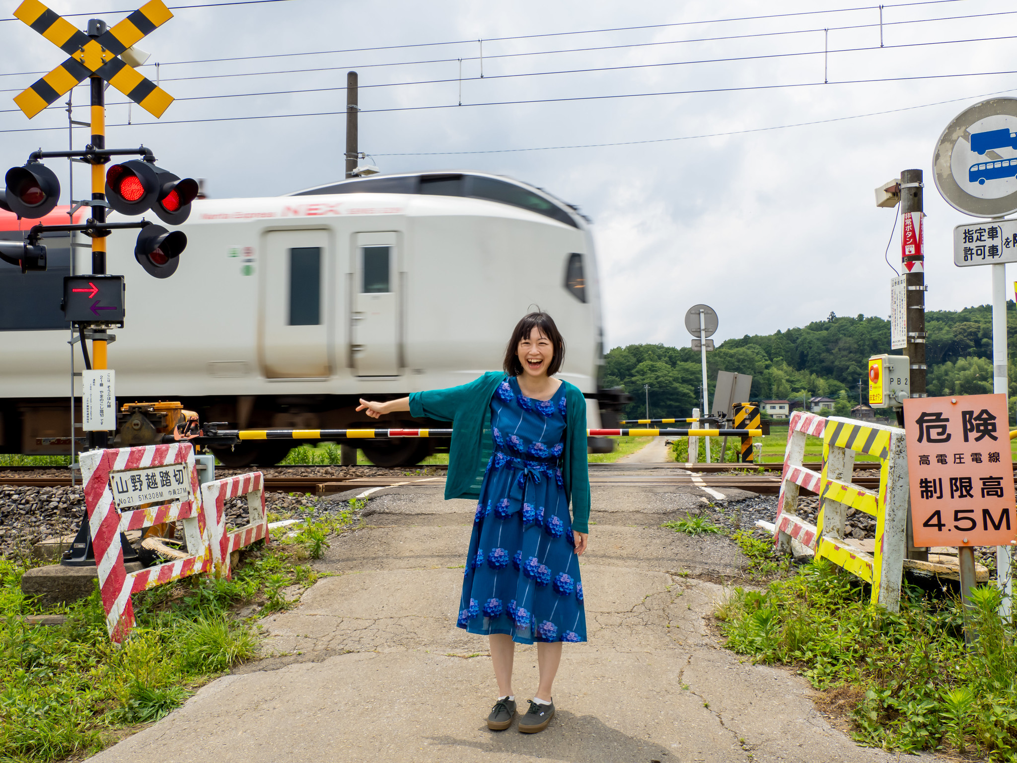 物井駅と佐倉駅の間の一面の田んぼの中のふみきりと電車