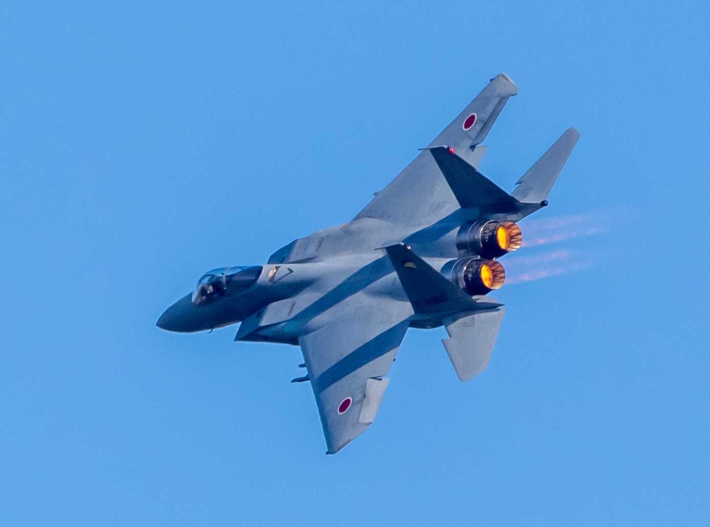 F-15戦闘機機動飛行 百里基地航空祭2022 #F15 #戦闘機 #百里基地 #航空祭 #OM1
