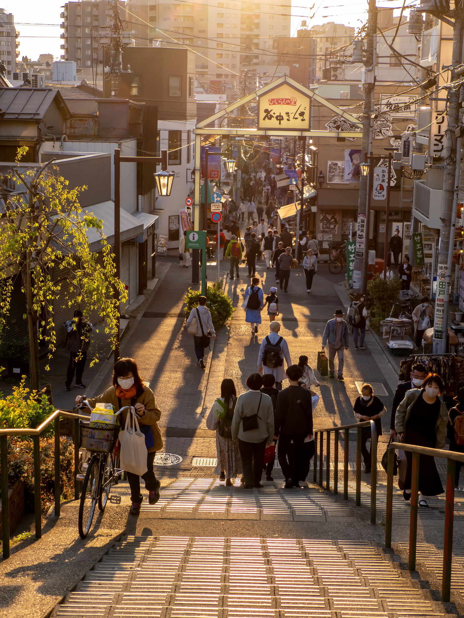 錦糸町から日暮里まで散歩 #桜 #東京スカイツリー #谷中ぎんざ #夕やけだんだん