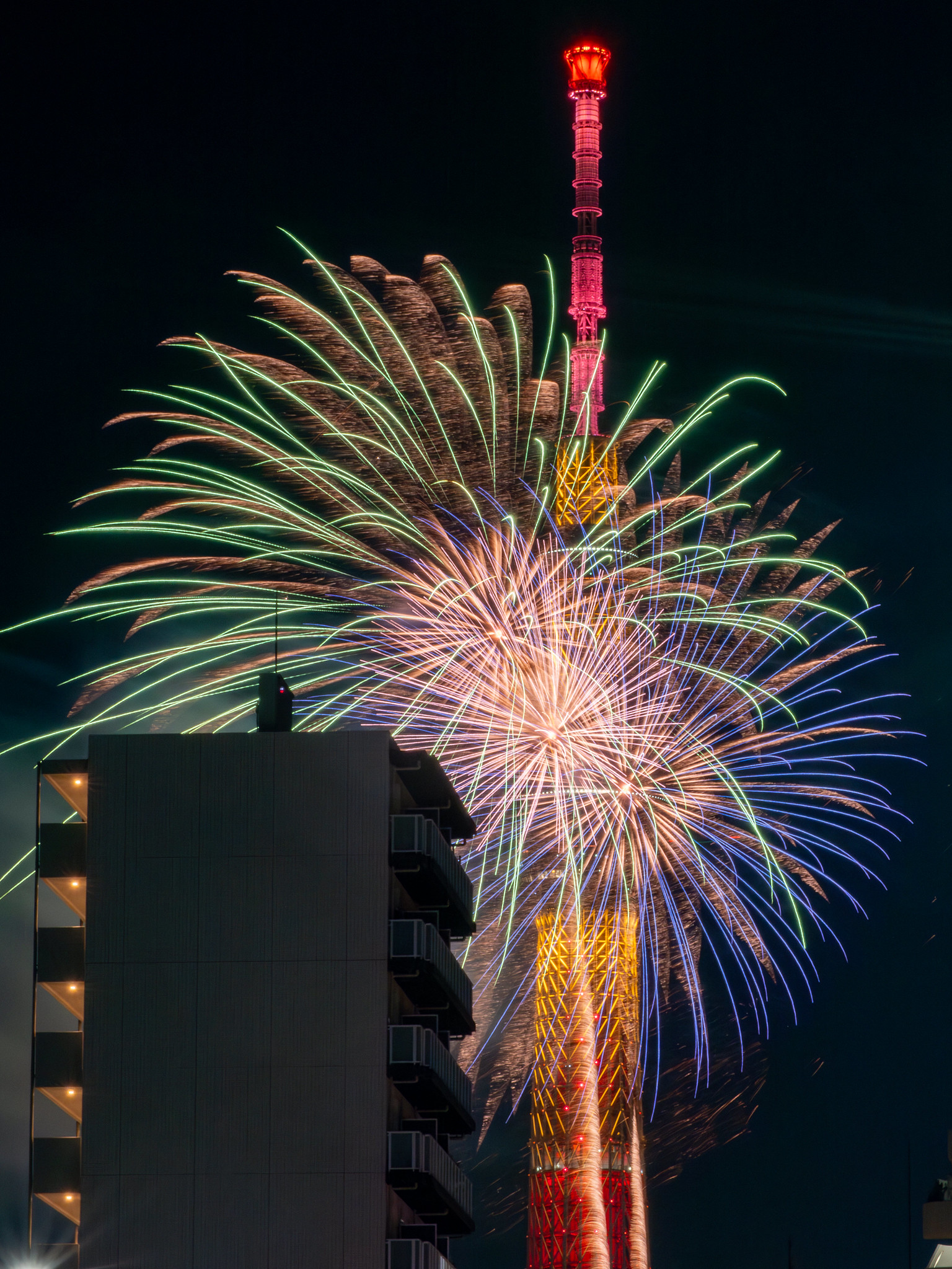 隅田川花火大会 2023 東京スカイツリーと花火のコラボ #花火