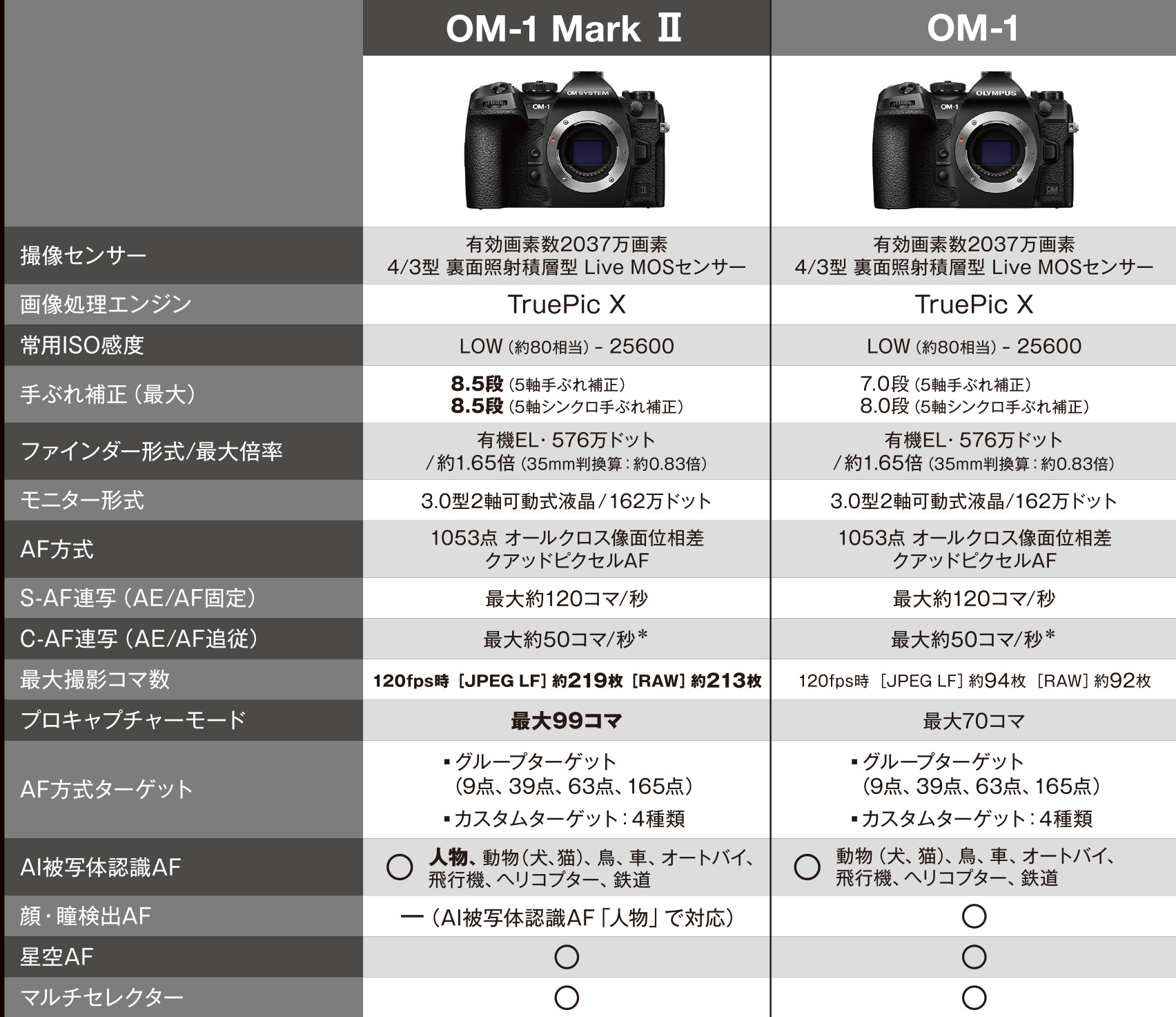 新フラッグシップモデル OM-1 Mark II 2/23発売 手ぶれ補正・AI被写体認識・バッファメモリーが強化、ライブGND搭載