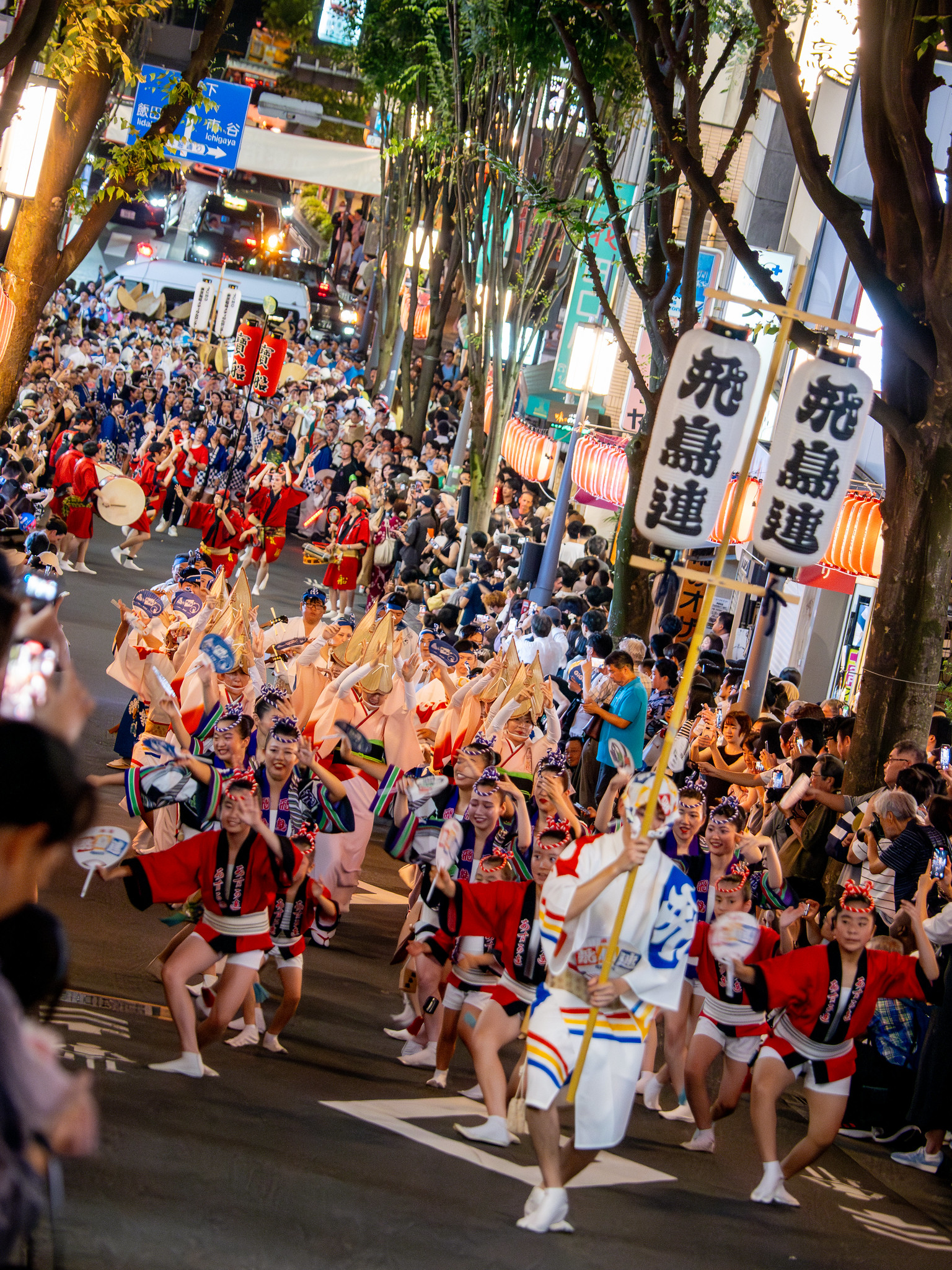 第50回神楽坂まつり 阿波踊り大会 #阿波おどり