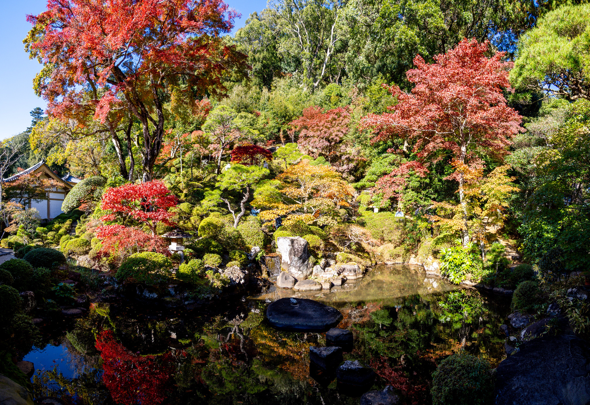 修善寺の紅葉その１ 修禅寺庭園 東海第一園 秋の特別公開 と 桂川の紅葉 #紅葉