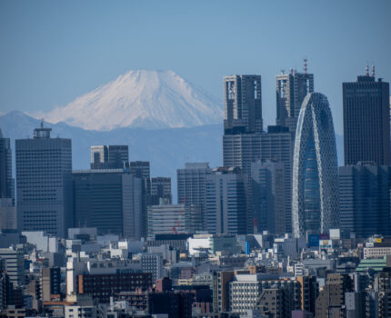 #文京シビックセンター からの 富士山と新宿 と #春日局 の墓がある 麟祥院