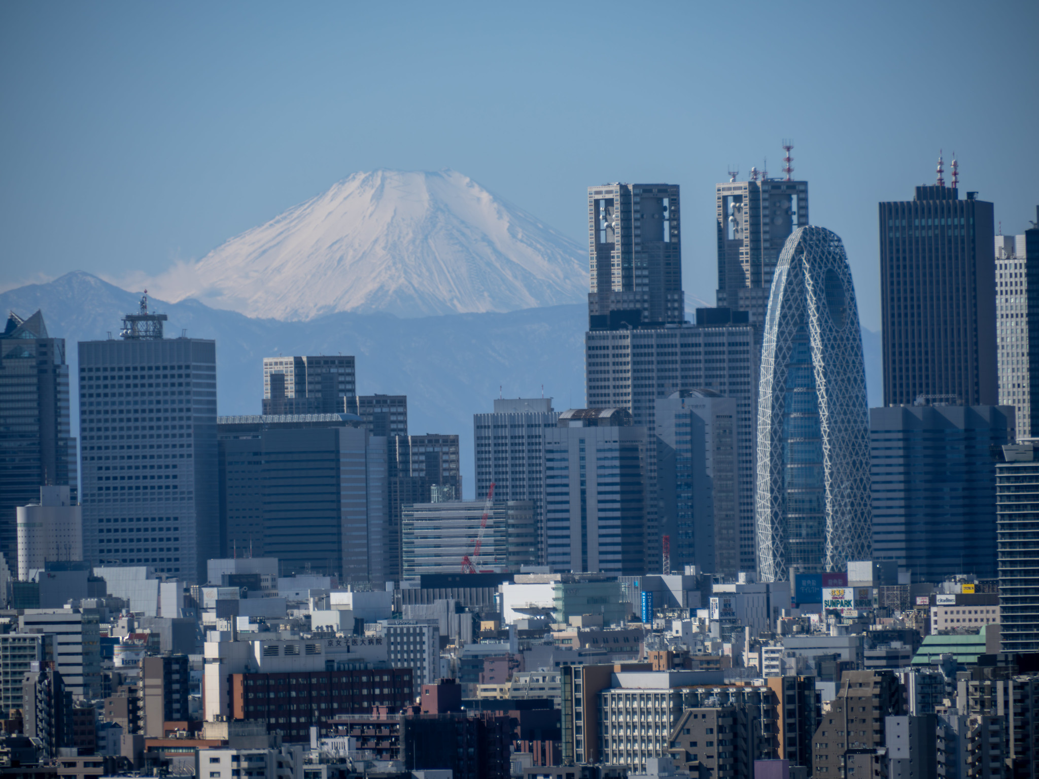 #文京シビックセンター からの 富士山と新宿 と #春日局 の墓がある 麟祥院