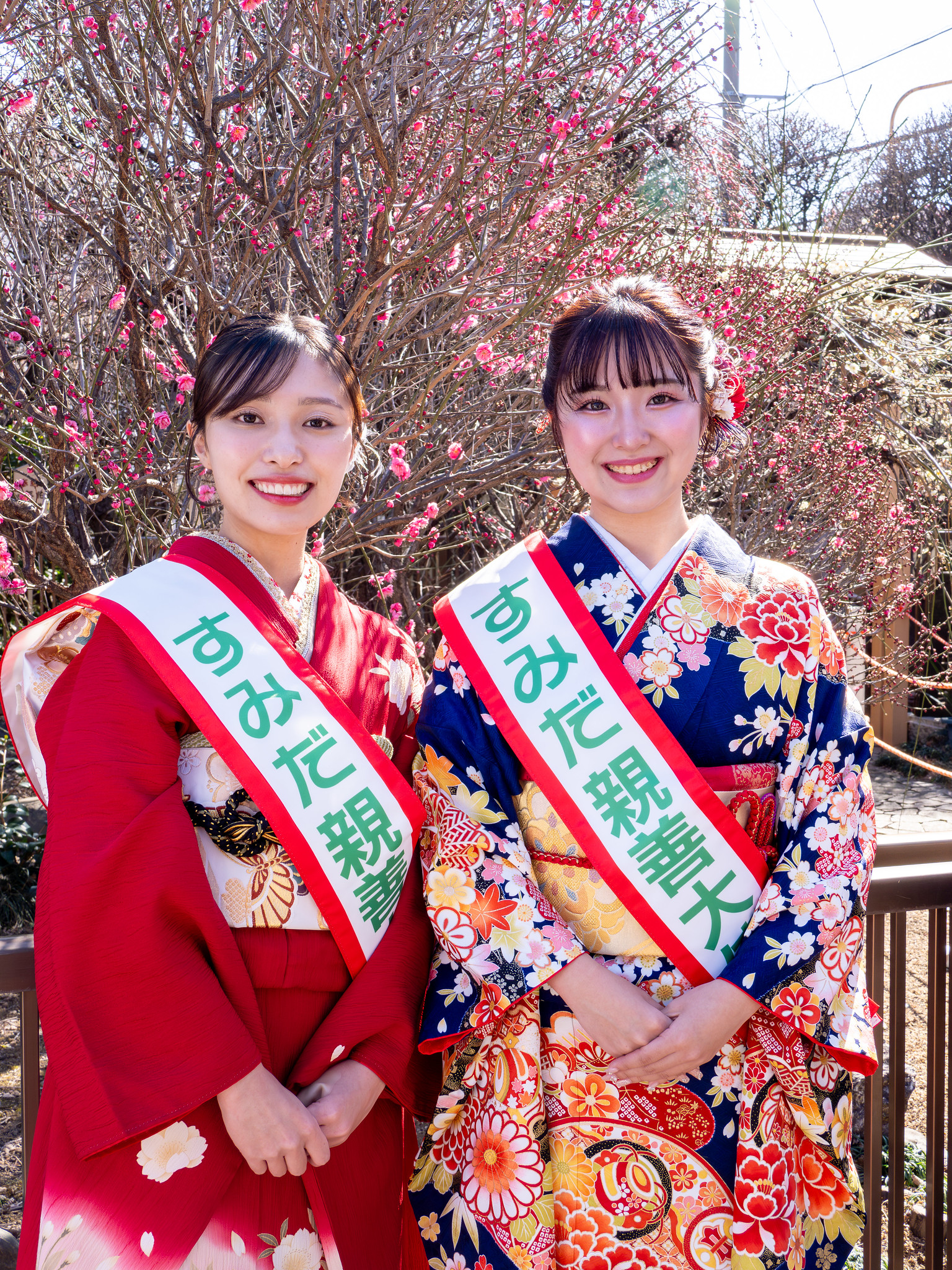 小村井香取神社 香梅園梅まつり と 亀戸天神 梅まつり #すみファン