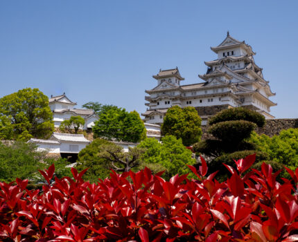 姫路城 と 好古園