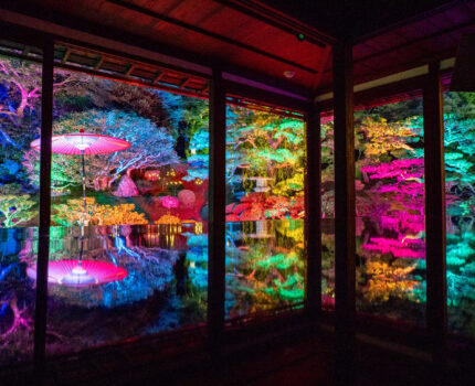 旧竹林院 & 西教寺 夏のライトアップ びわ湖大津 夏の夜もうで2025