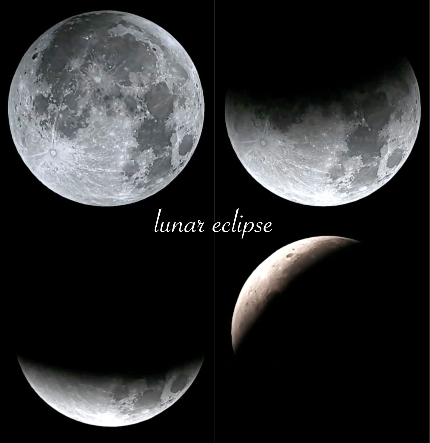 タ*ケ様 LUMINUS ECLIPSE ／イクリプス発売記念❼点セット➕オマケ オクマ(OKUMA) エピクサー(EPIXOR) EPXT-30H PLUS ☆セール激安