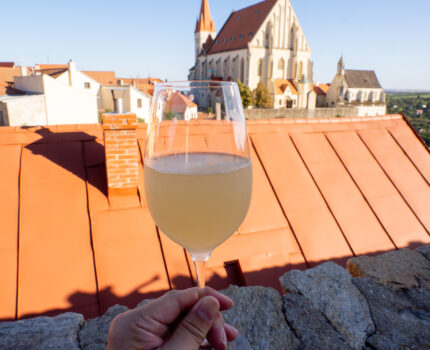 #中欧旅 #チェコ #ズノイモ 赤ちゃんワイン「ブルチャーク」やズノイモワイン・ビールを満喫 #チェコへ行こう