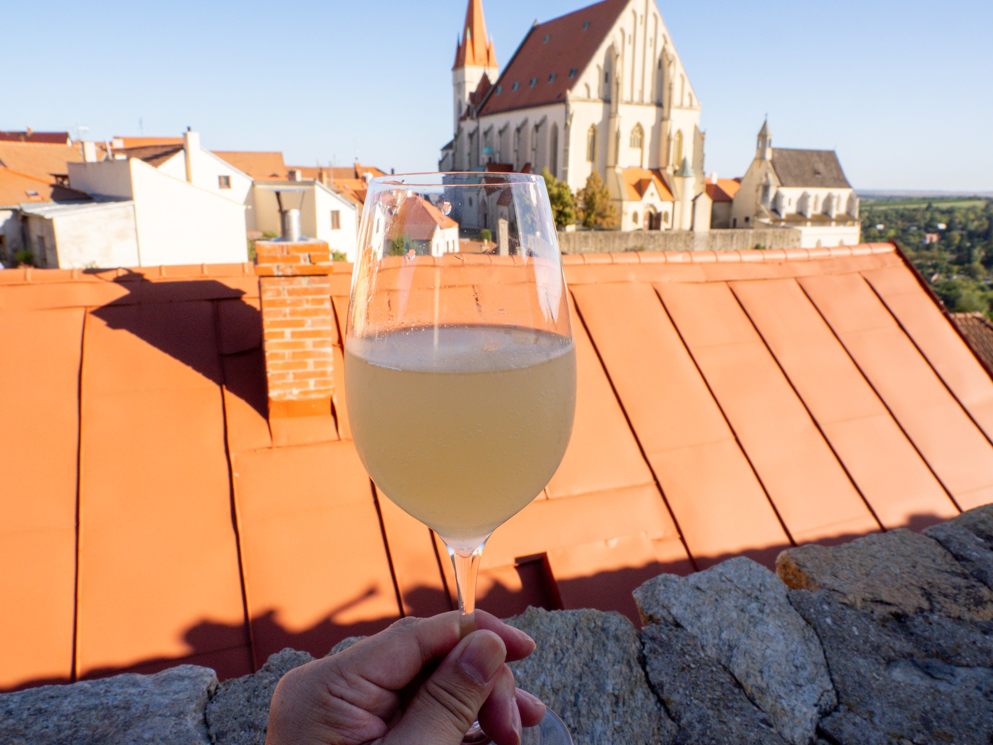 #中欧旅 #チェコ #ズノイモ 赤ちゃんワイン「ブルチャーク」やズノイモワイン・ビールを満喫 #チェコへ行こう