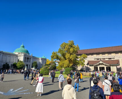#文化の日 #上野 無料美術館・博物館巡り その2 東京国立博物館 #トーハク