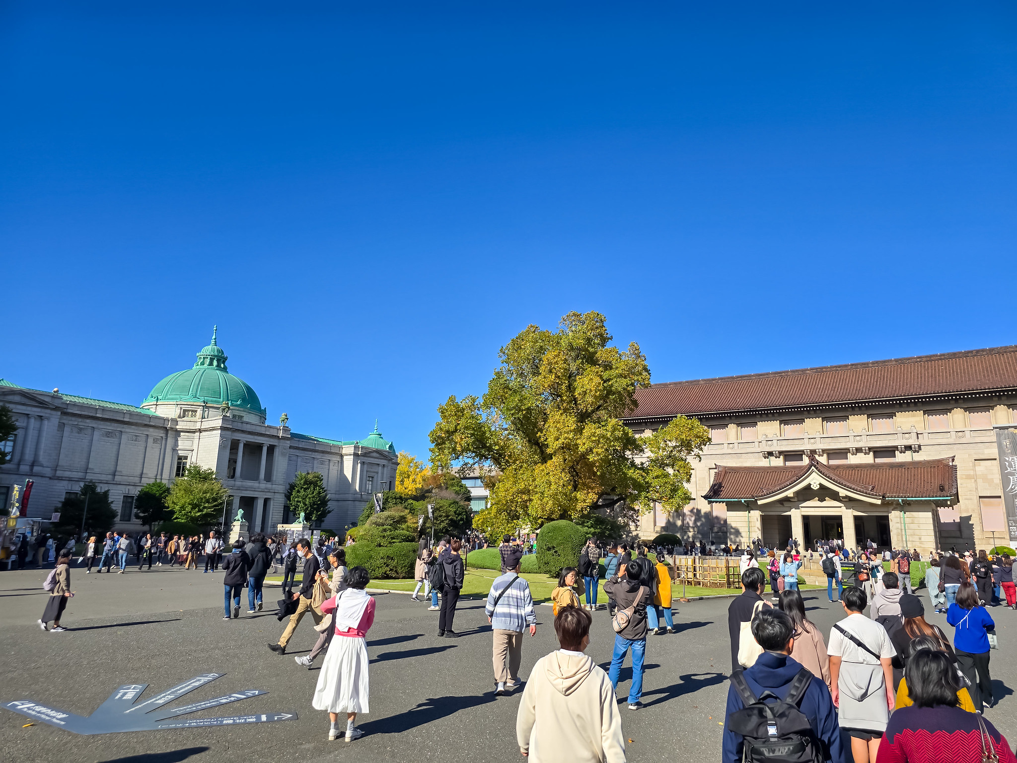 #文化の日 #上野 無料美術館・博物館巡り その2 東京国立博物館 #トーハク