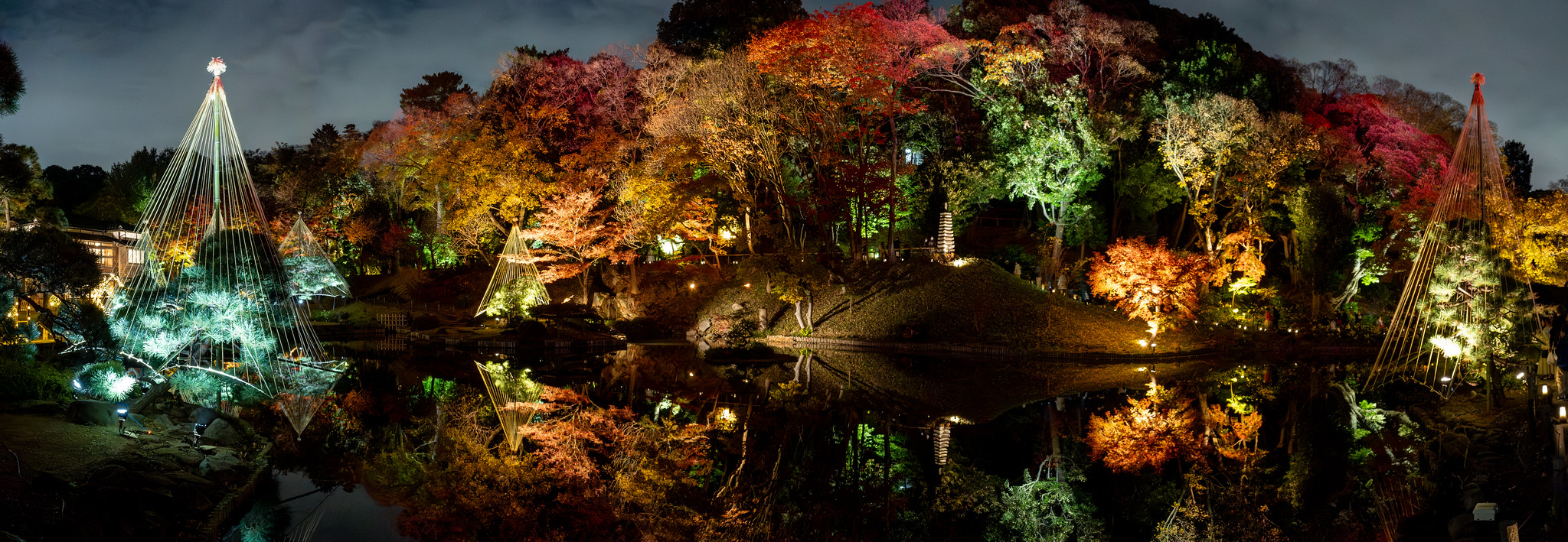 秋の紅葉ライトアップ「ひごあかり」 文京区立 肥後細川庭園 #紅葉 #ライトアップ