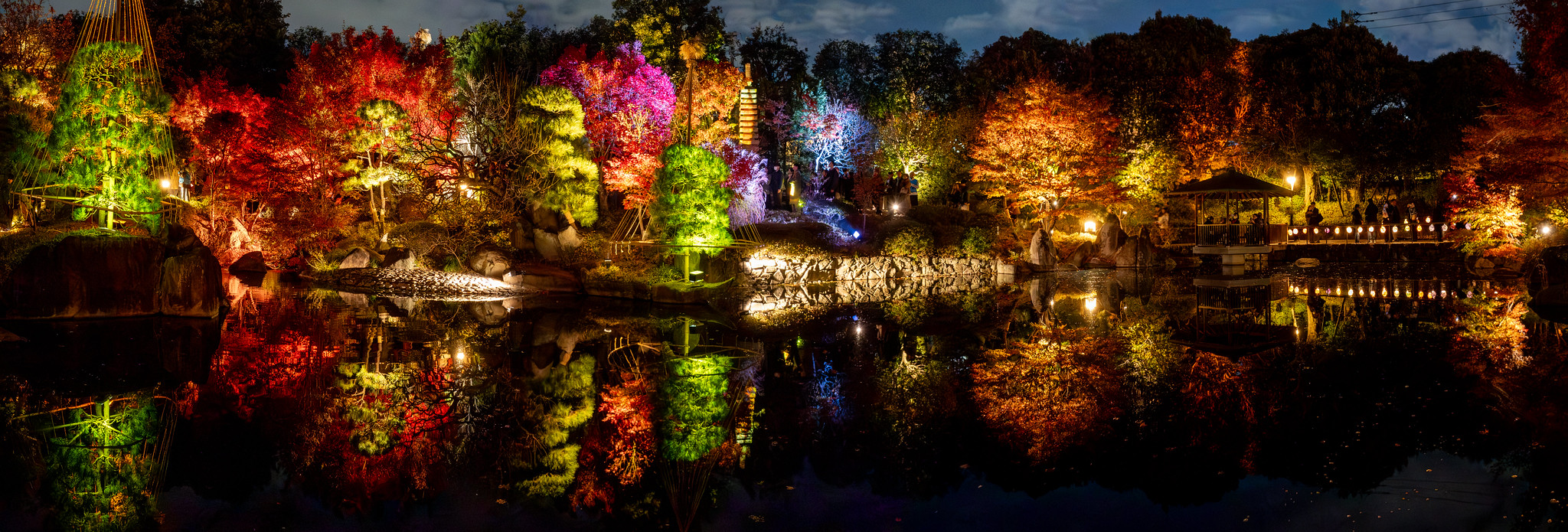 TERASU 秋の庭園ライトアップ2025 豊島区立 目白庭園 #紅葉 #ライトアップ