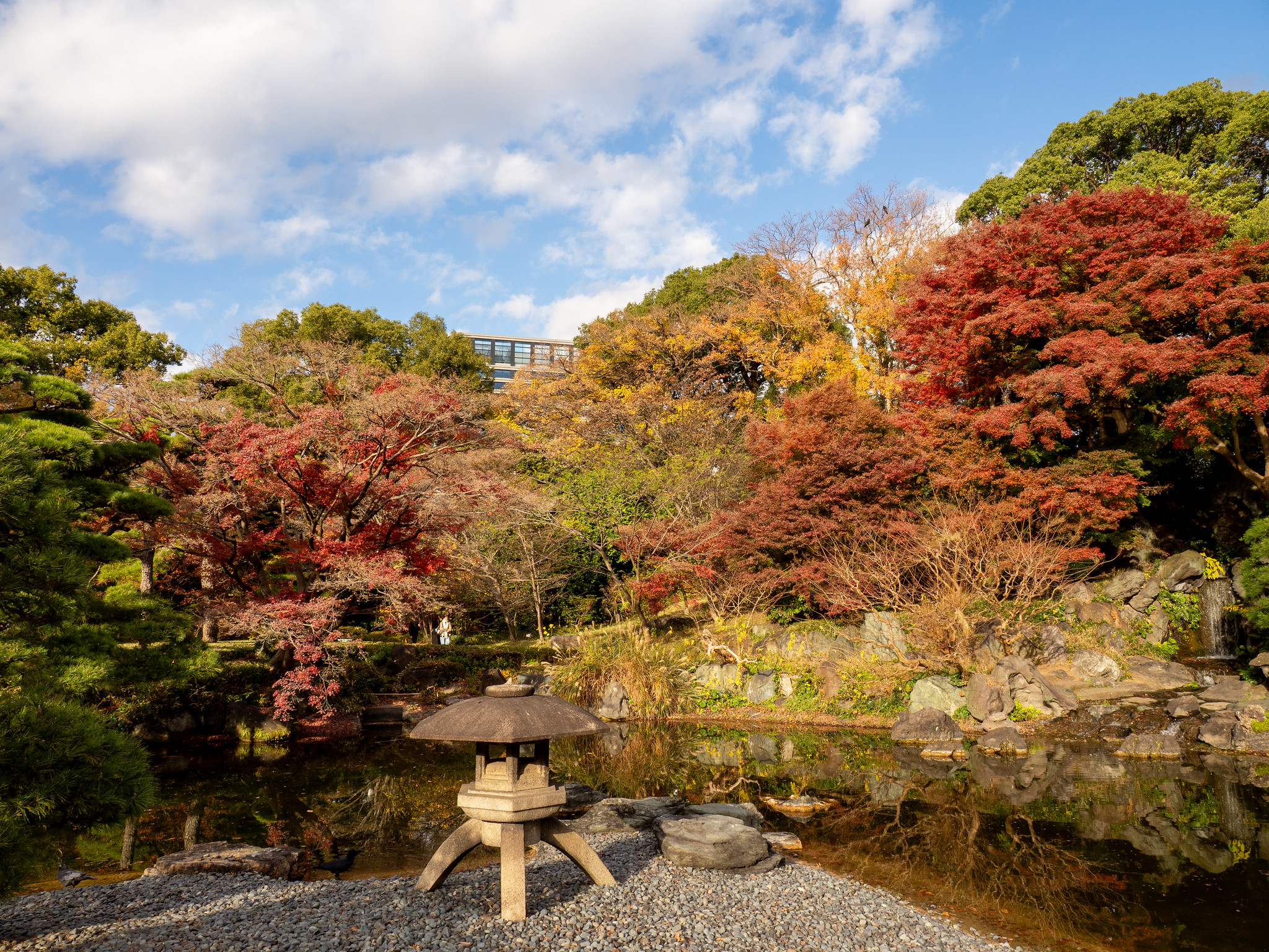 東京の中心で紅葉狩り 本丸跡西側や二の丸庭園の紅葉が見事 皇居東御苑