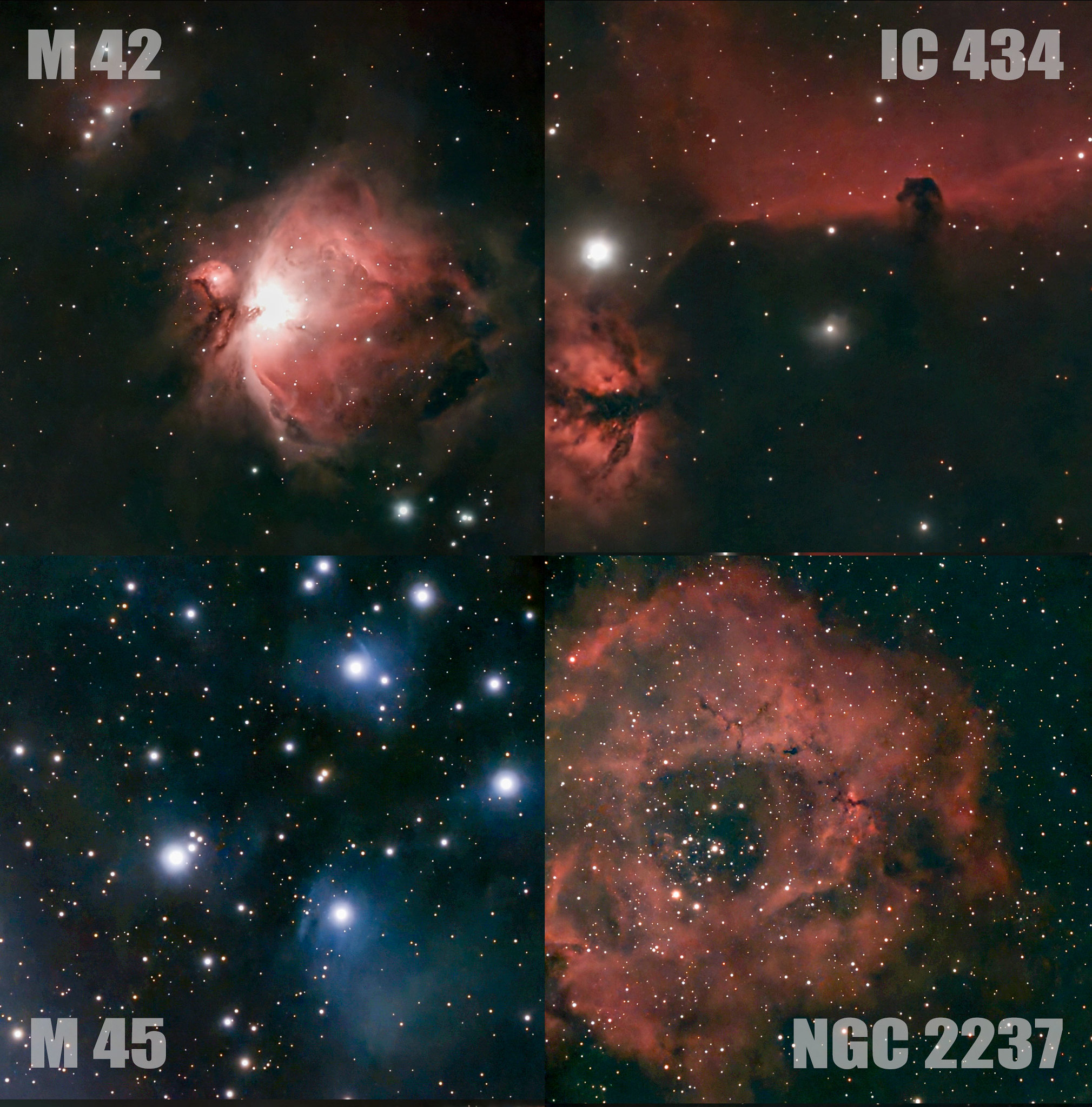 #SeestarS30 で オリオン大星雲（M42） 馬頭星雲（IC434） プレアデス星団（M45） バラ星雲（NGC2237） を撮影