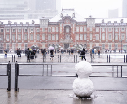 雪の東京駅丸の内駅舎