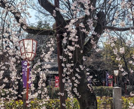 京都 伏見 長建寺 酒蔵 寺田屋 #Leica #Leitzphone