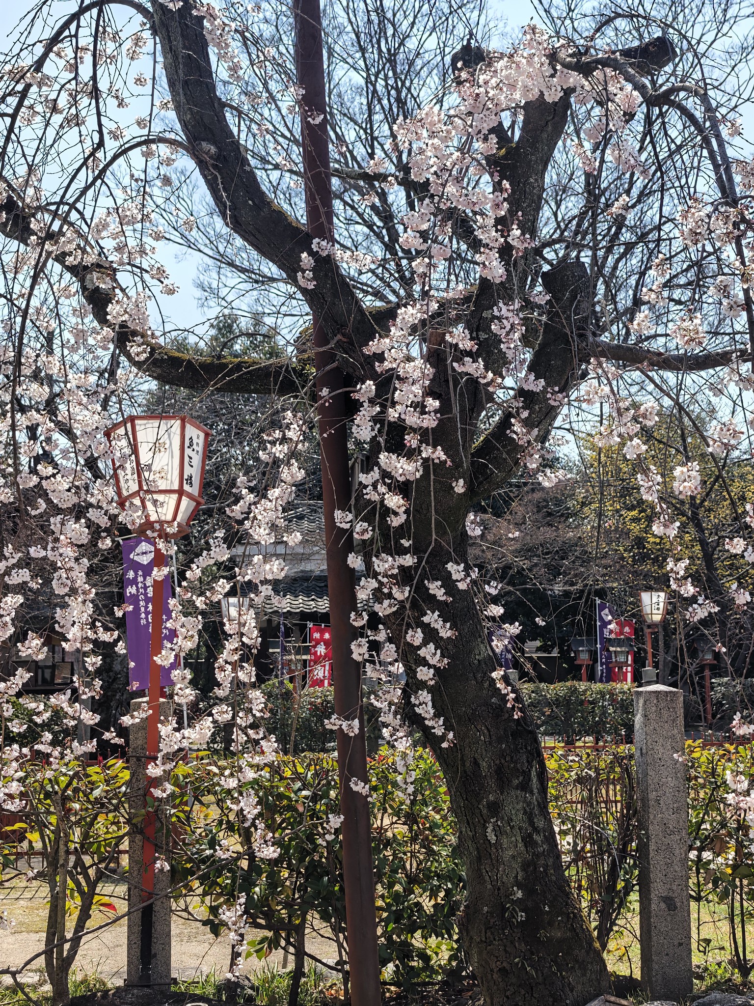 京都 伏見 長建寺 酒蔵 寺田屋 #Leica #Leitzphone