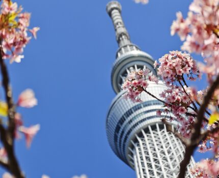 Leica Leitzphone powered by Xiaomi で撮影した写真 #Leica #Leitzphone