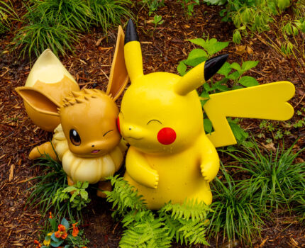 多くのポケモンに出会える ポケパーク カントー 大雨から快晴へ