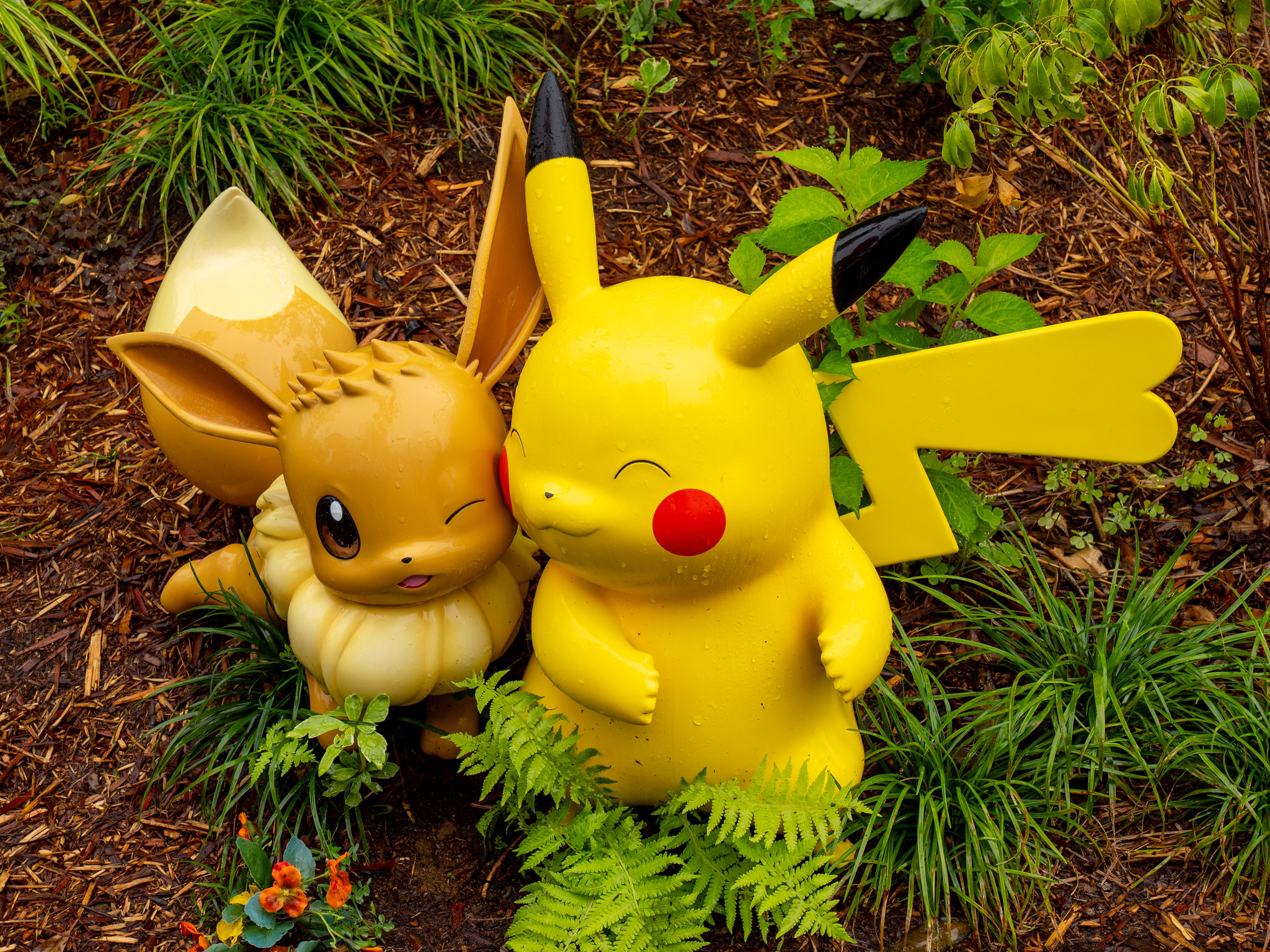 多くのポケモンに出会える ポケパーク カントー 大雨から快晴へ