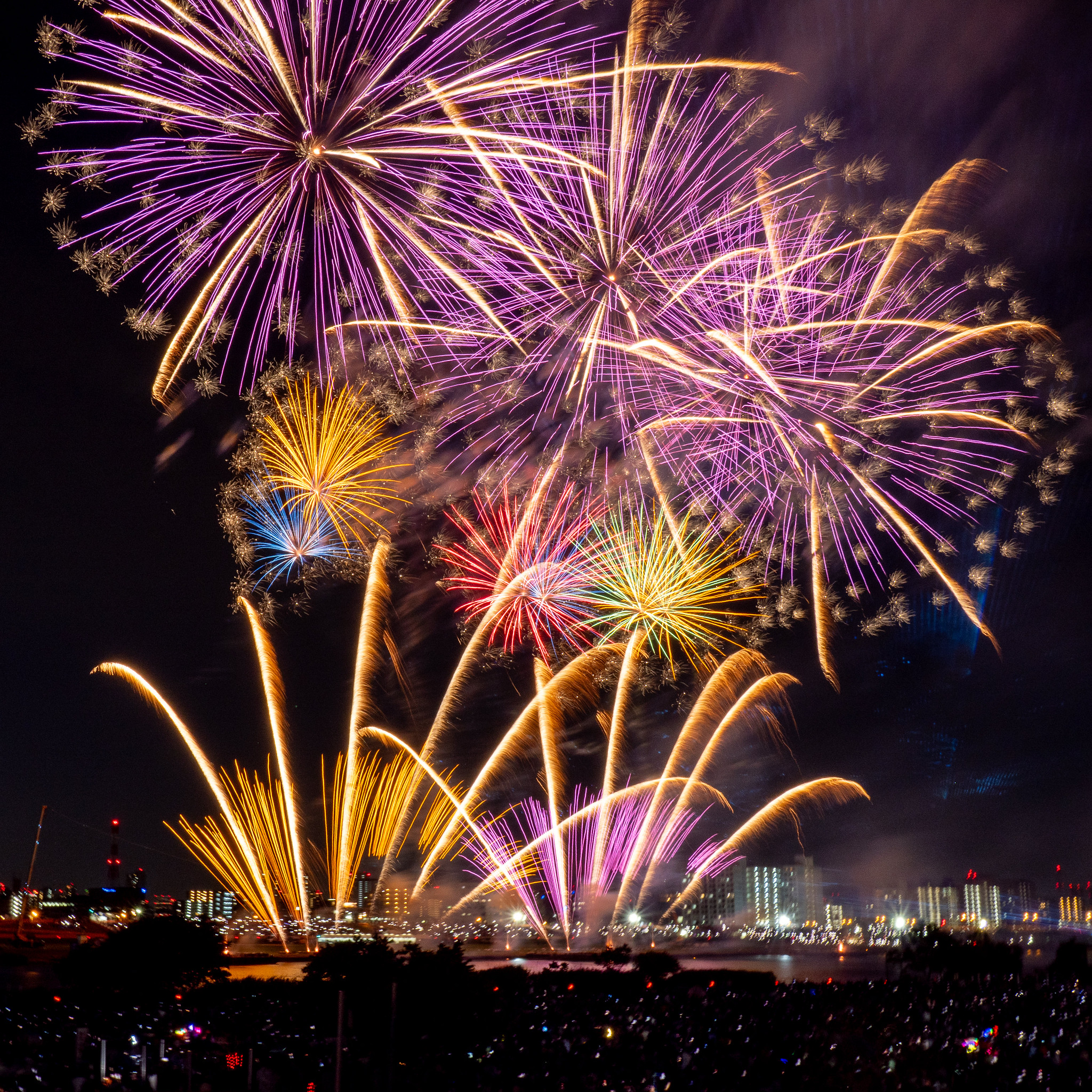 3年ぶり1時間で1万3千発の高密度花火 #足立の花火 2026