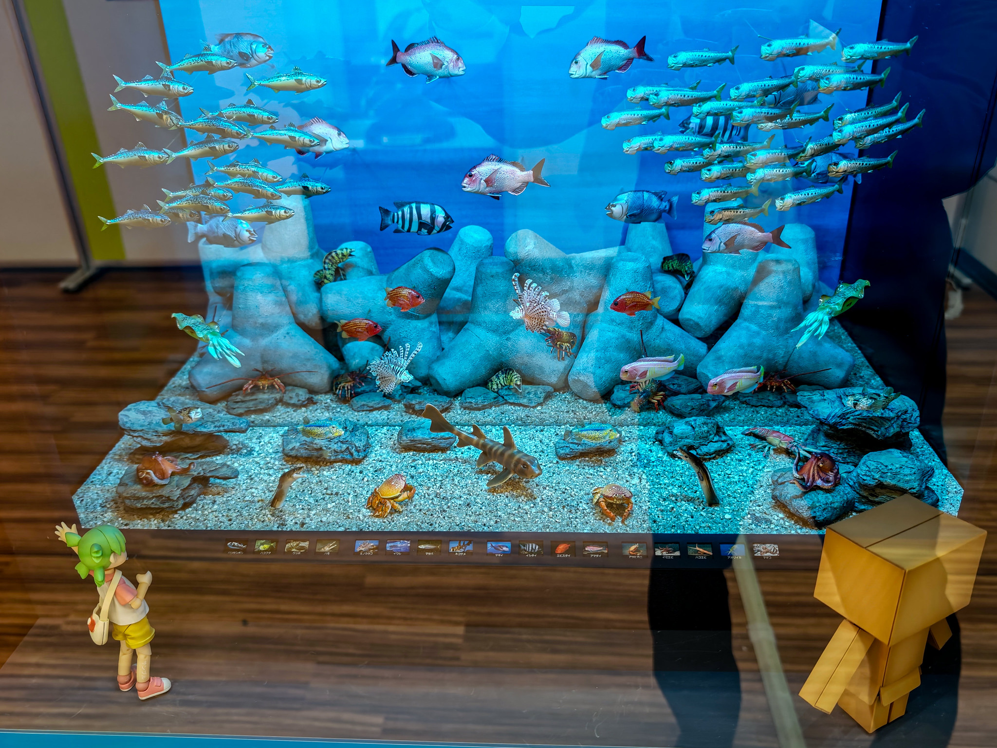 海洋堂フィギュアミュージアム 海のいきもの展 京都アバンティ