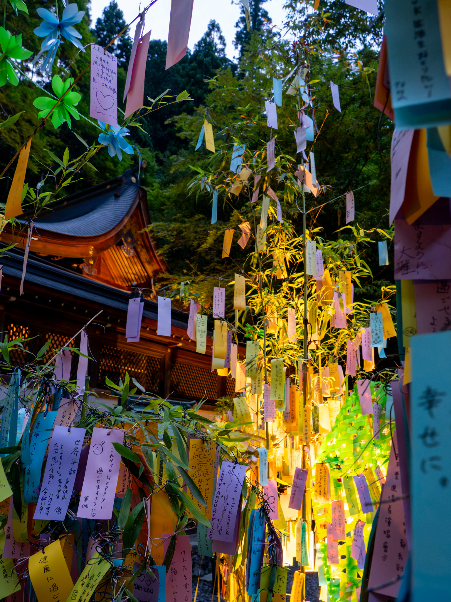 涼しい夏の京都を求めて その３ #貴船神社 七夕笹飾りライトアップ と #叡山電車 青もみじのライトアップ