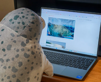 軽くコンパクトでデザインにもこだわったWindowsモバイルノートPCが欲しいなら Dell XPS 13 DX13260 #アフィリエイト広告