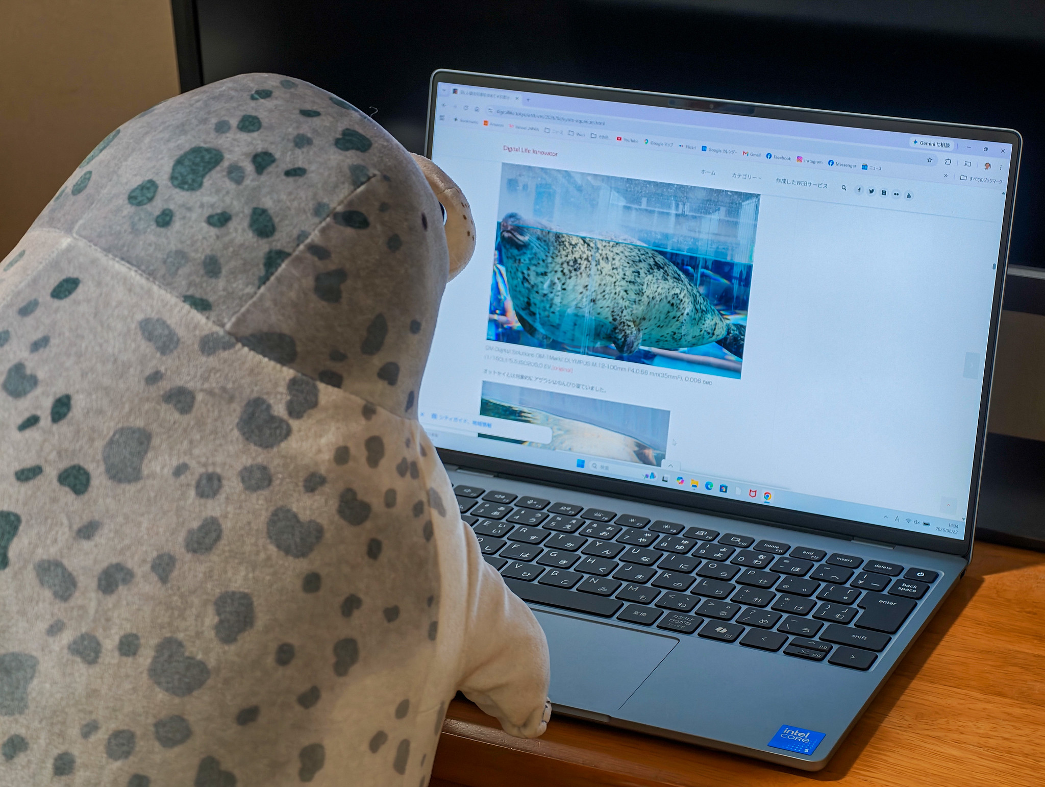 軽くコンパクトでデザインにもこだわったWindowsモバイルノートPCが欲しいなら Dell XPS 13 DX13260 #アフィリエイト広告