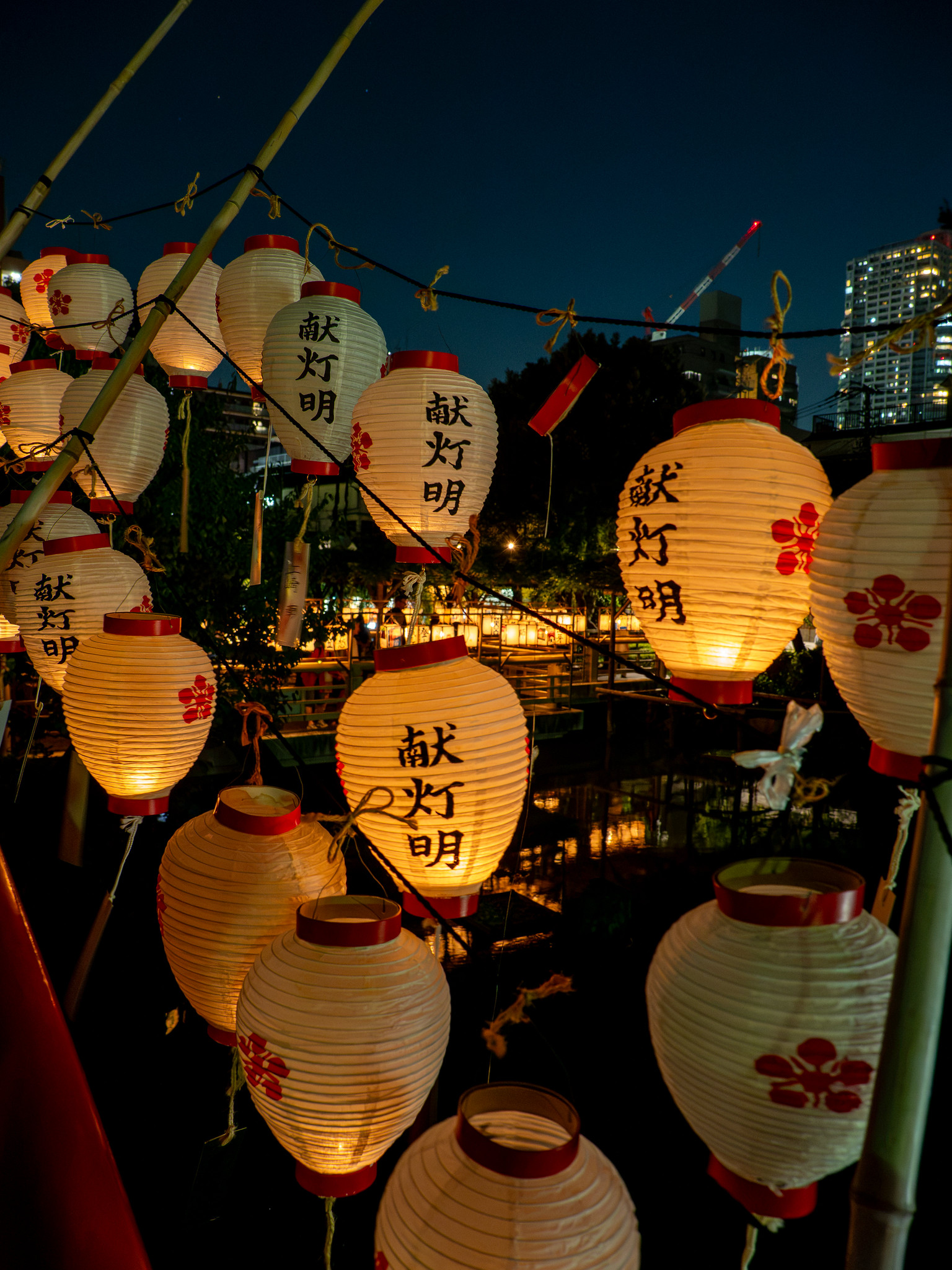 1,000個以上の灯明がともる幻想的な夜 亀戸天神社 例大祭 献灯明
